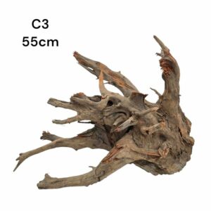 Corbo Catfish Root