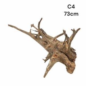 Corbo Catfish Root