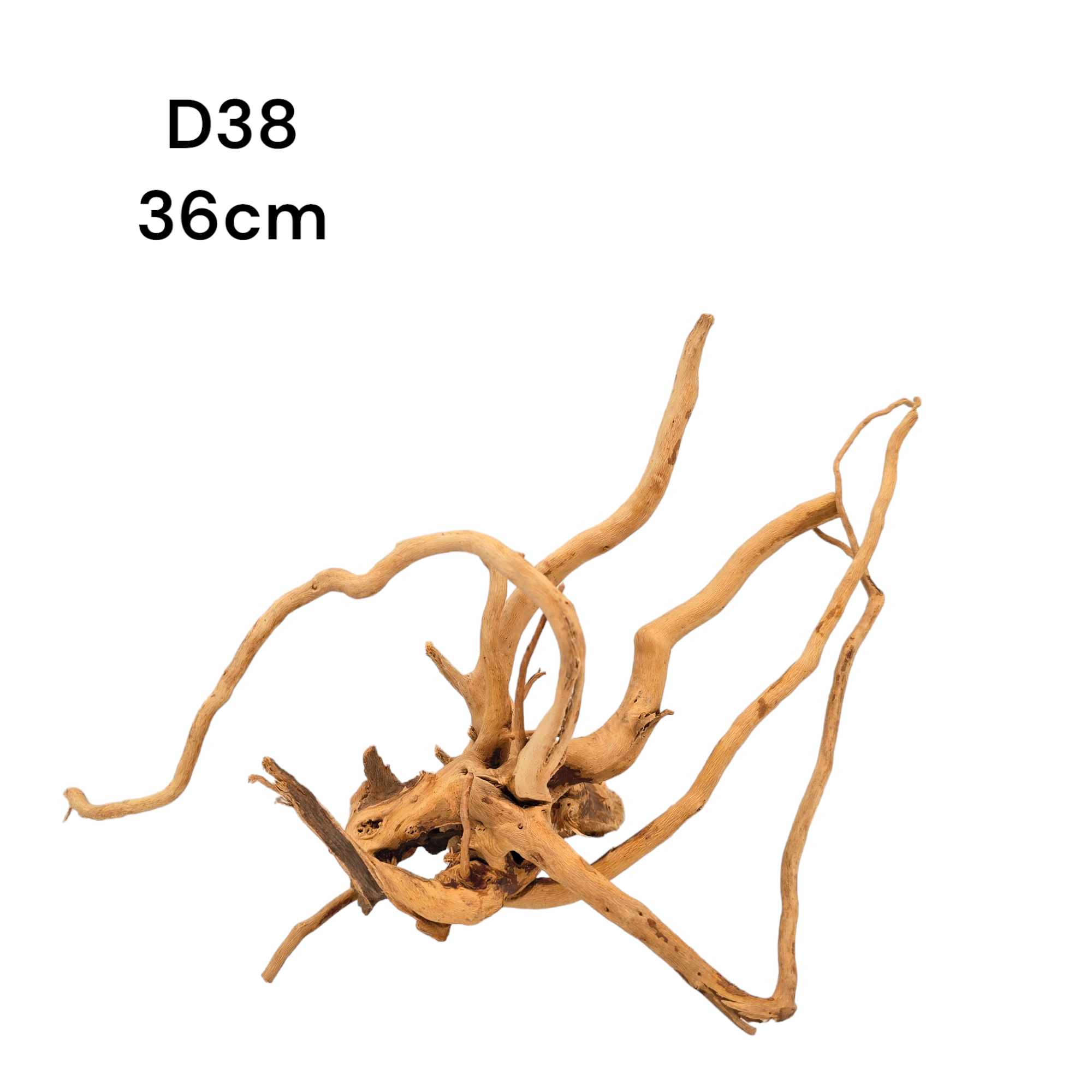 d38