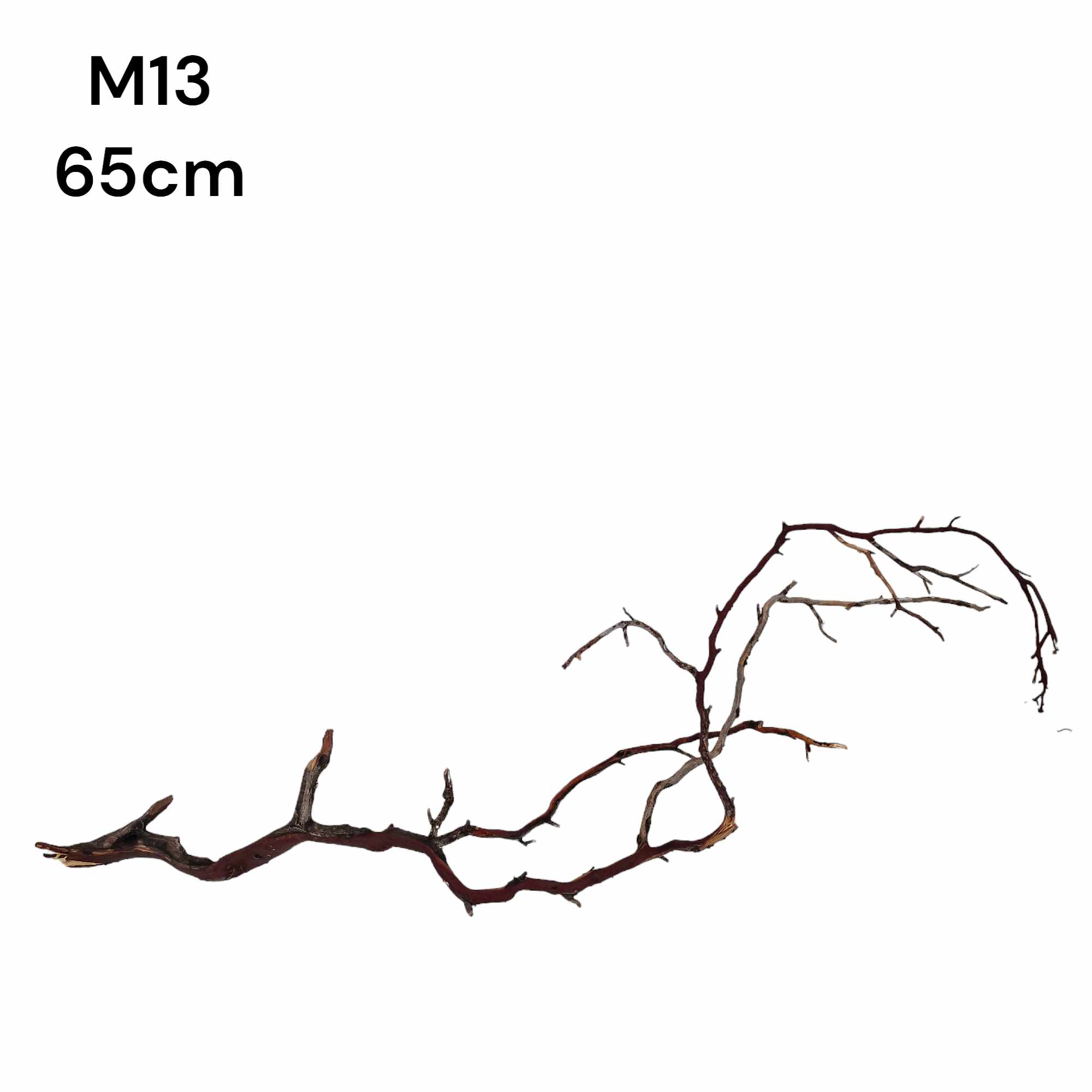 m13