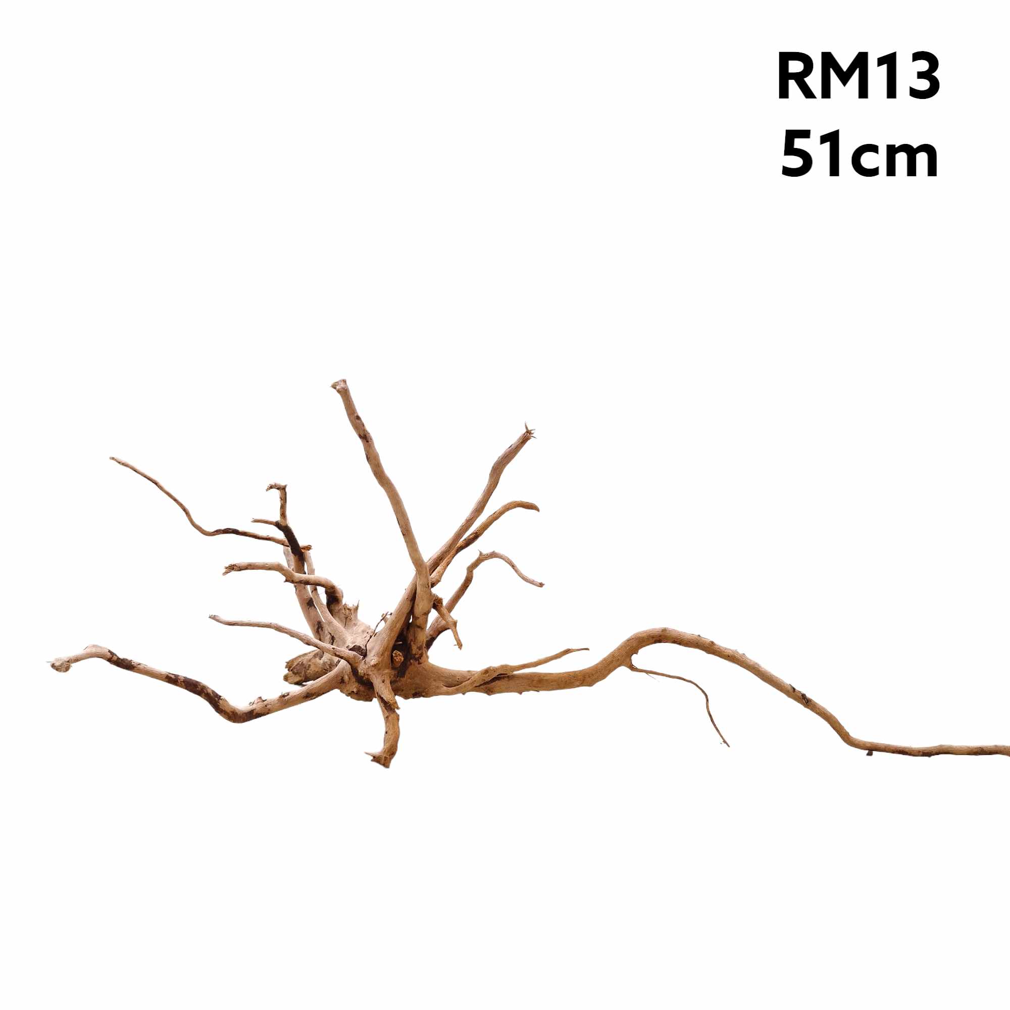 rm13