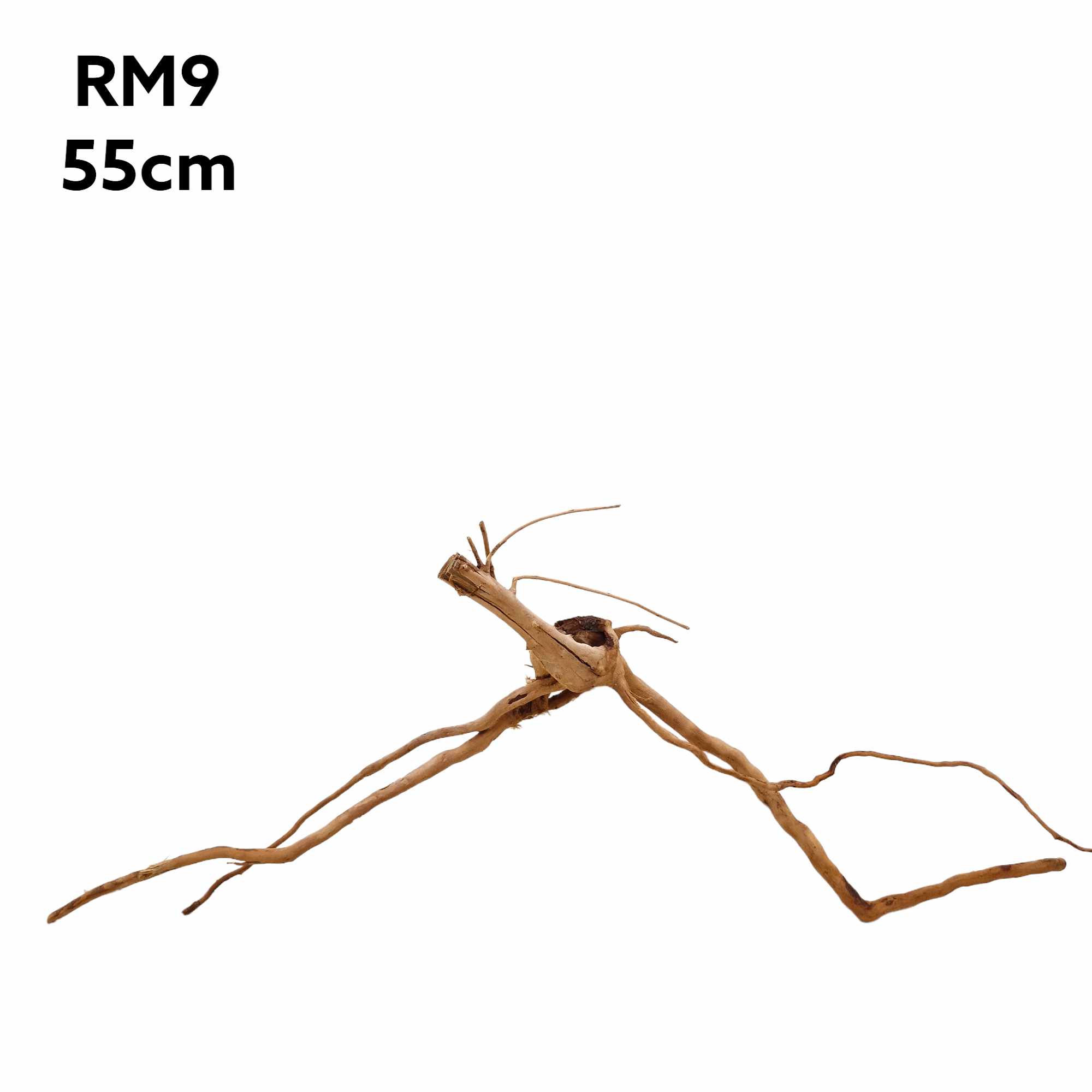 rm9