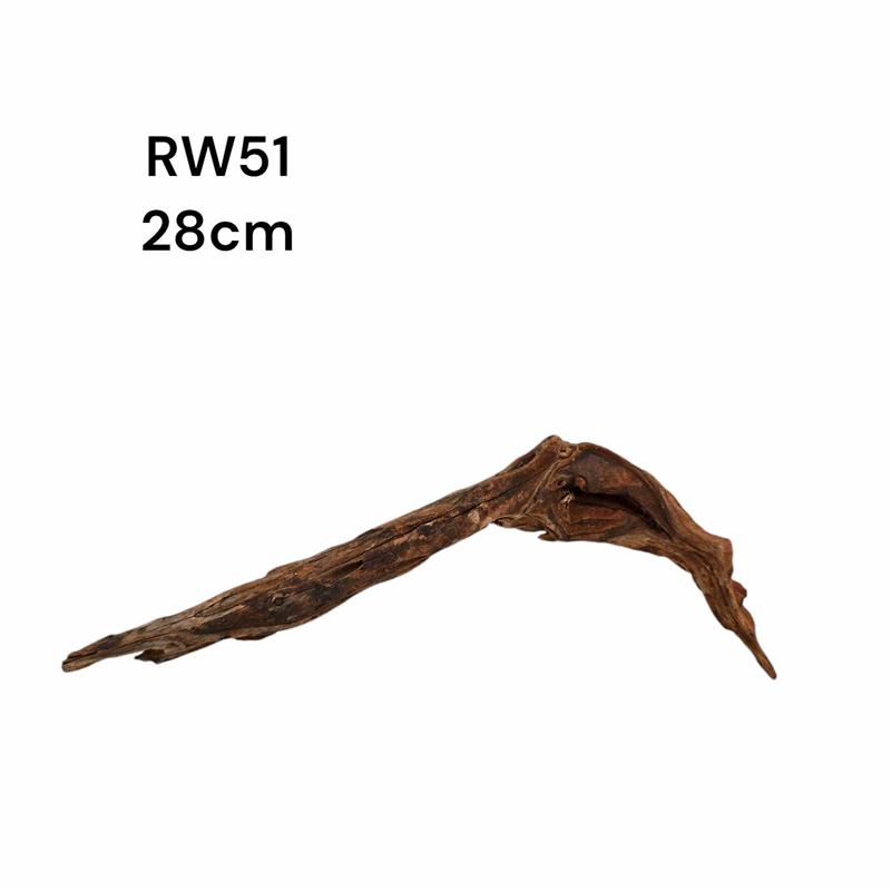 rw51_713315386