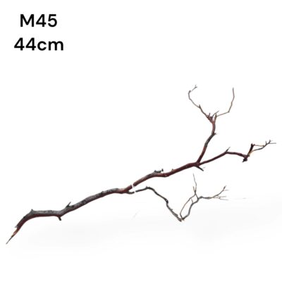 Manzanita M45