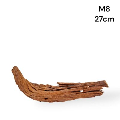 Mangrove Wood M8