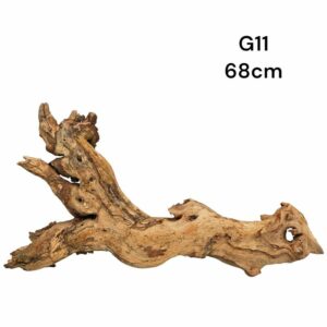 Gnarled Wood