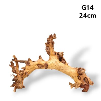 Gnarled Wood