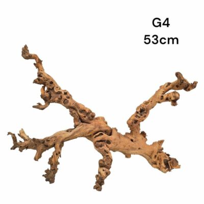 Gnarled Wood