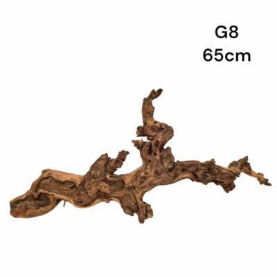 Gnarled Wood