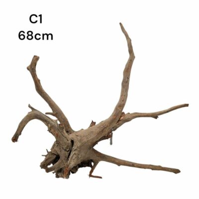 Corbo Catfish Root