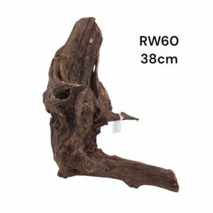 River Wood RW60