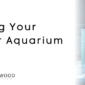 Heating Your Freshwater Aquarium