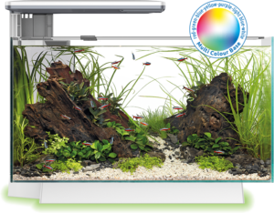 SuperFish Quadro 40 Multi Colour