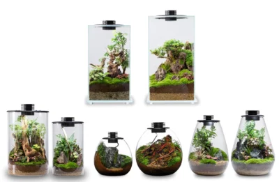 Bioloark Bio Bottle Terrarium - FD200