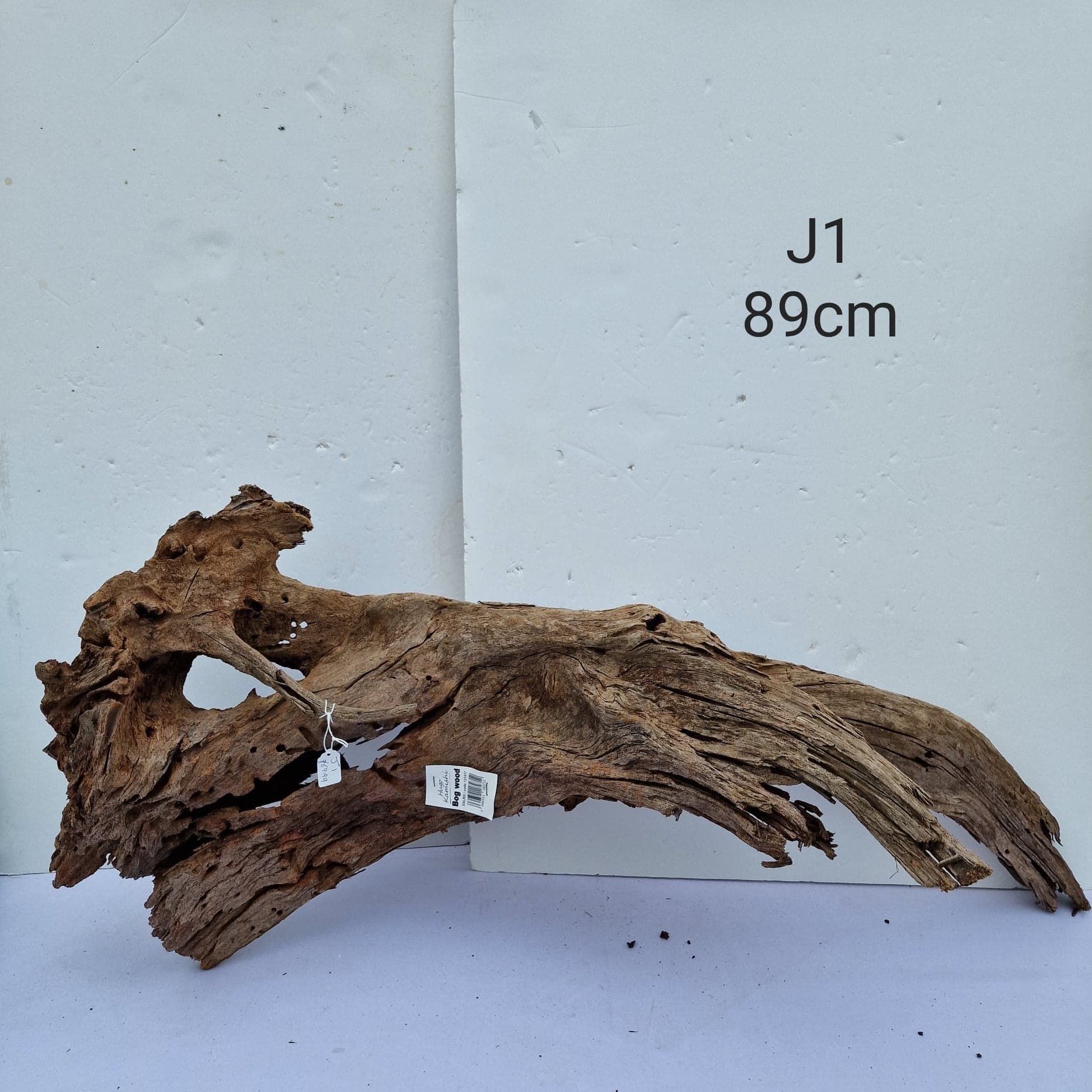 Bogwood J1