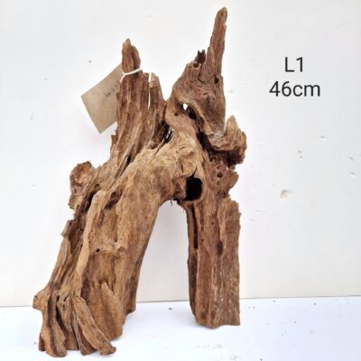 Mangrove Wood L1