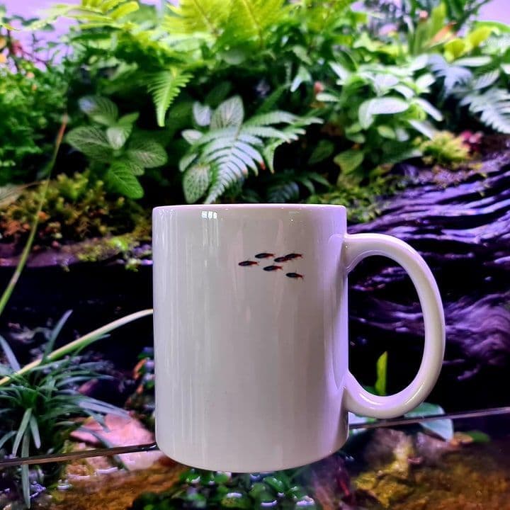 Riverwood Aquatics Mug